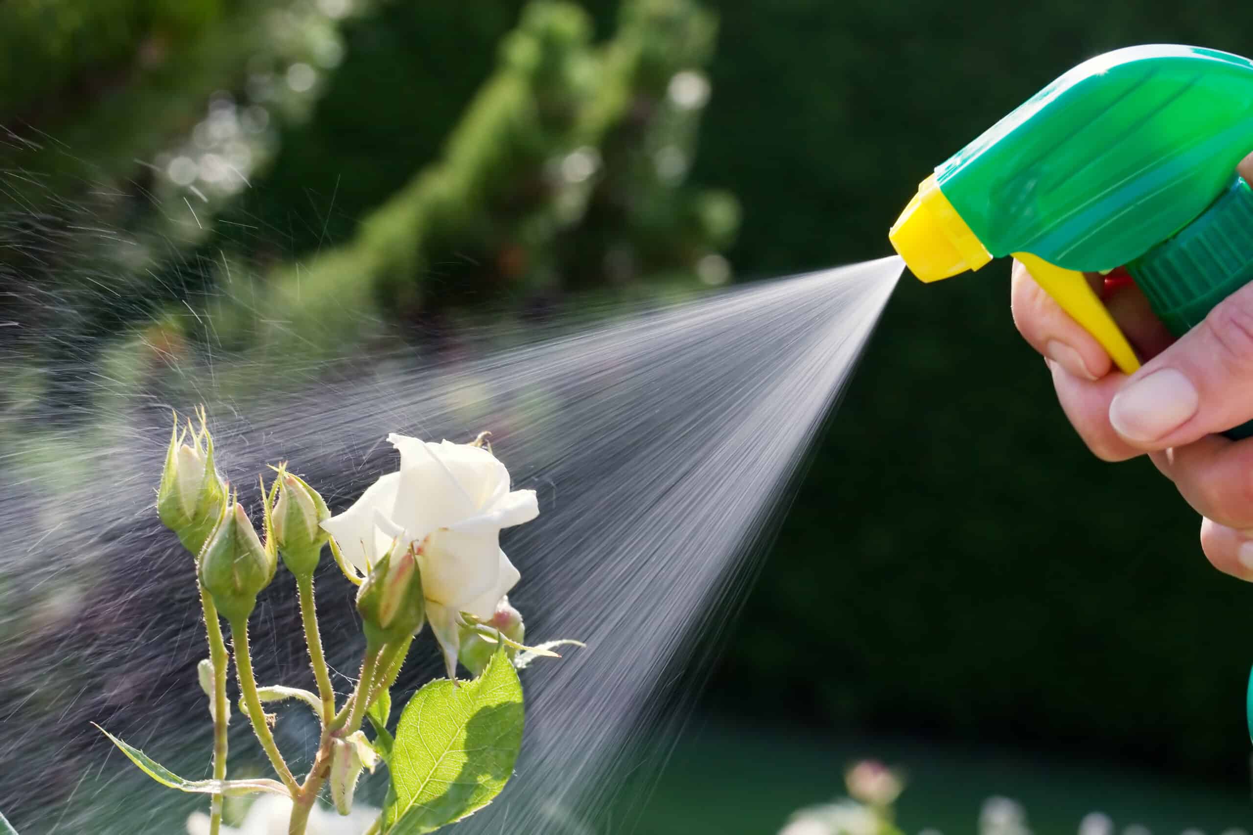 Pestizide im Gartenbau